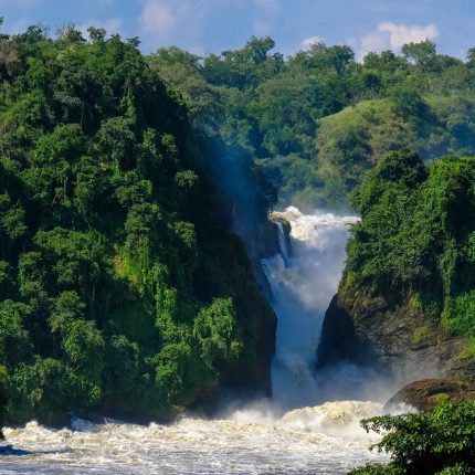 Murchison falls national park safari